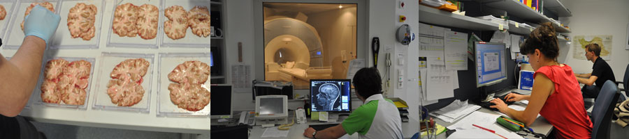 Random header banner 2